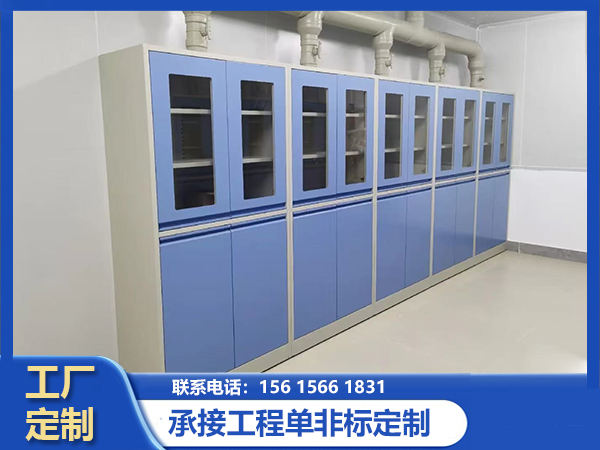 全钢试剂柜